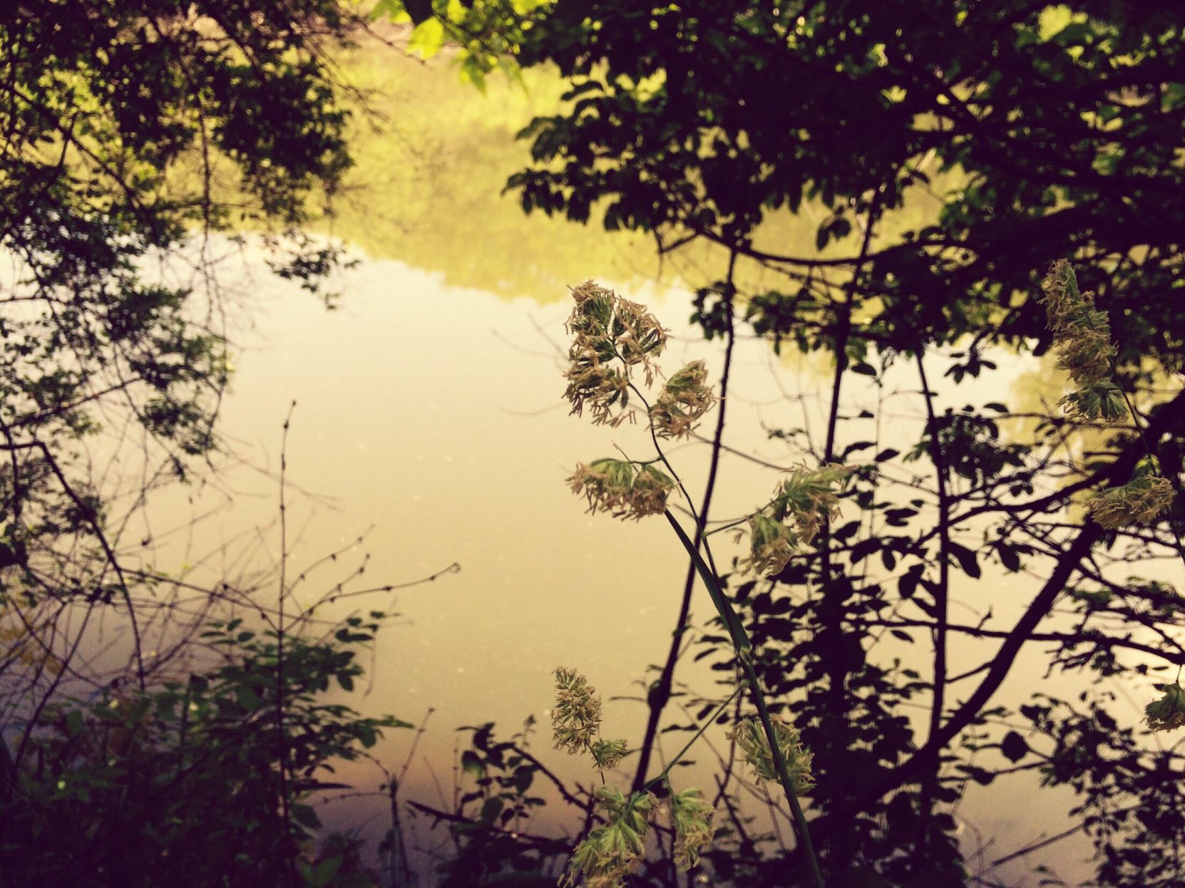 White River